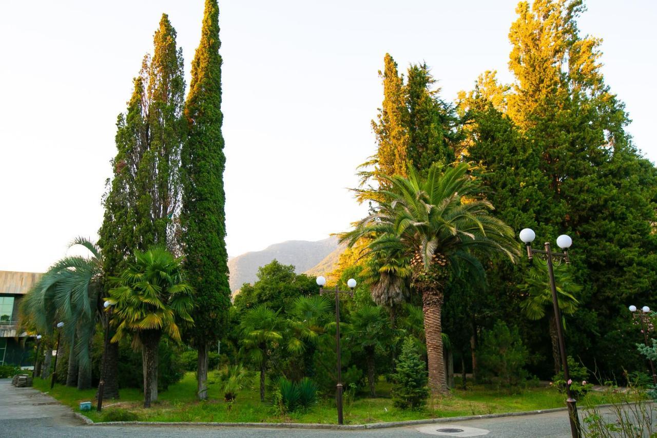 Amza Park Hotel Gagra Buitenkant foto